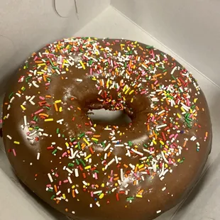 Donut head