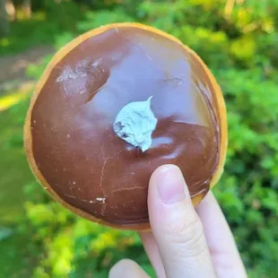 a hand holding a chocolate donut