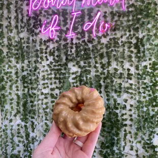 French Cruller Donut