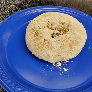 Powdered Cake Donut