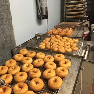 donuts on a conveyor belt