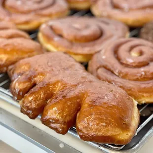 Bear foot or Bear claw?