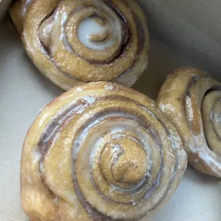 The big cinnamon rolls