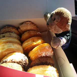 Boo is going to eat all of them. The nice girl was here.