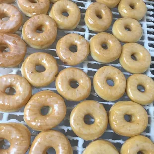 a variety of glazed donuts