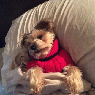 Tammy L.
