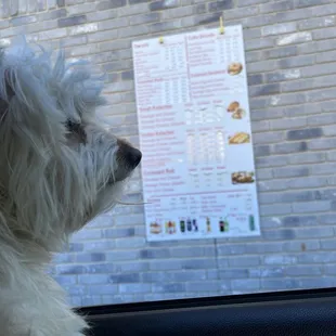 Kolache dog menu