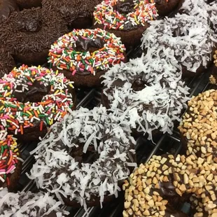 Donut Queen