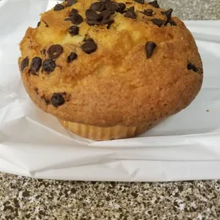 Chocolate Chip Muffin