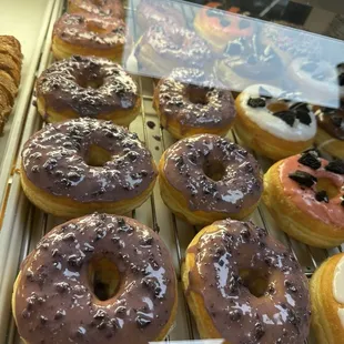 Blueberry donuts