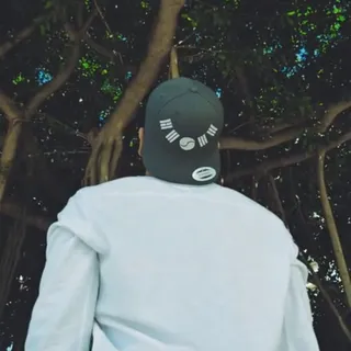 Jin W M.