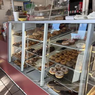 Donuts at donut shop