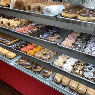 Lots of donut options!