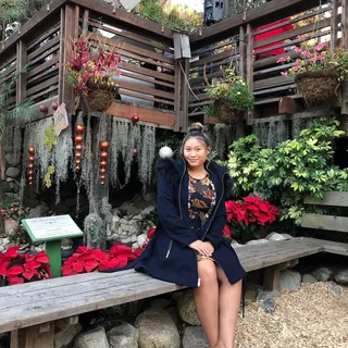 Lisa L.