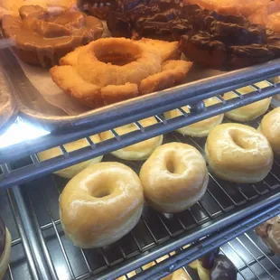 The office is going to love these