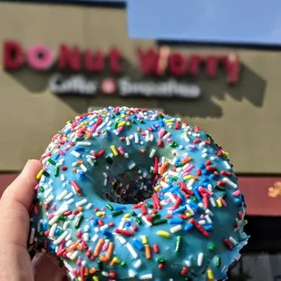 Delicious blue iced raised yeast donut with sprinkles.