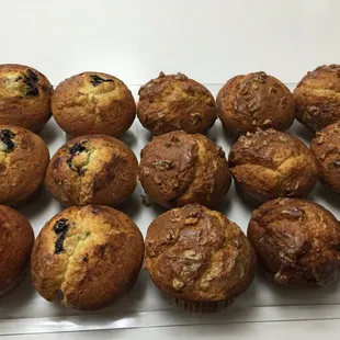 blueberry muffins on a white plate