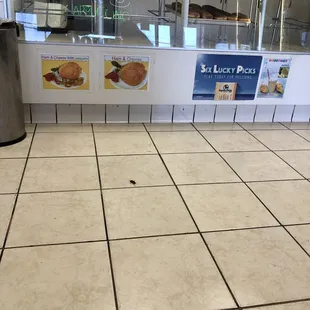 Display area (dark spot is a bug)