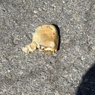 So nasty threw it out along with the other two. The guys said the same thing