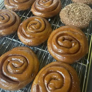 Cinnamon rolls