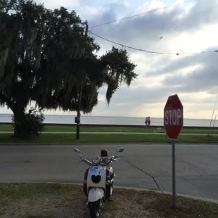 View from front window.