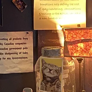 Kitty Tip Jar for Charity