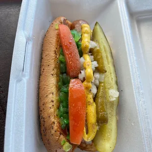 Chicago Style Hot Dog.