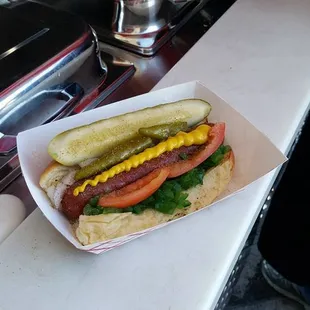 Authentic Chicago Dog
