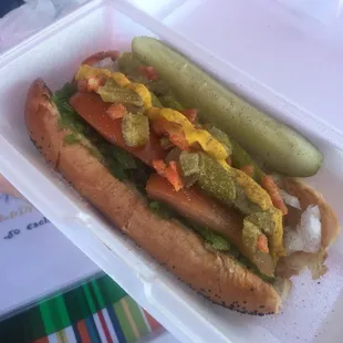 hot dog, food, sandwich, hot dogs