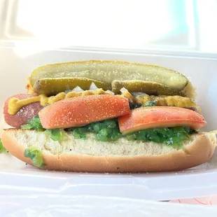 Chicago Dog
