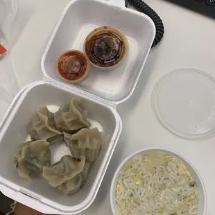 Veggie dumplings and fried rice