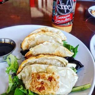 Pork Dumplings