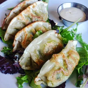 Vegetable Dumplings