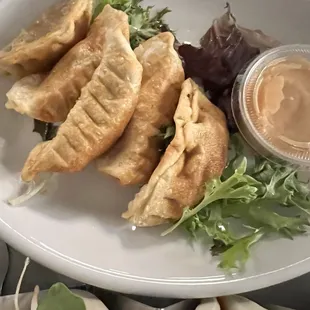 Dope! Pork Dumplings