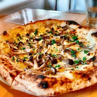 Fungo Pizza