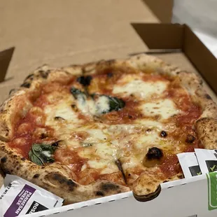 Margherita Pizza