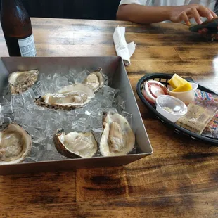 Oysters on the Half Shell