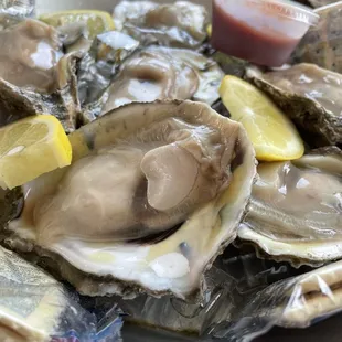 Raw Oysters