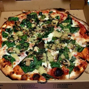 AMAZING PIZZA!!! This place is our favorite in the Davenport/Haines City area......&amp; you really CAN&apos;T beat the price