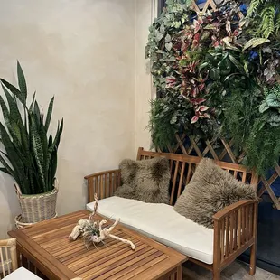  living room with a couch, coffee table, and plants