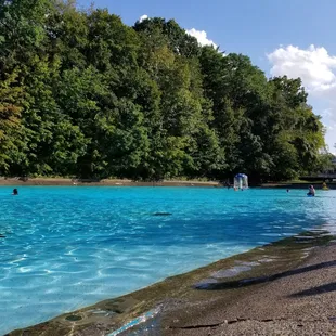 Volleyball net and raining mushroom