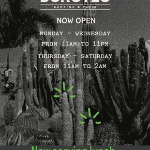 Now open for Lunch!,,
