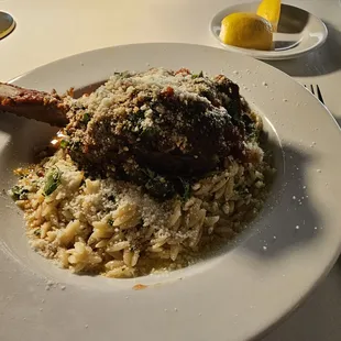 Lamb shake over orzo.