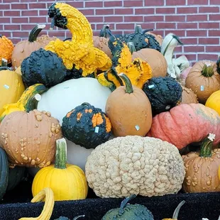 a pile of pumpkins and gourds