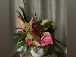 Lei Studio