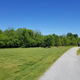 A beautiful day for a walk in the park.