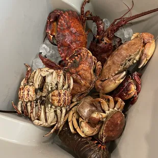 Crab and lobster