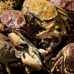 California Rock Crabs