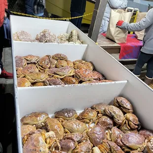 Crab