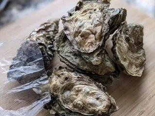 Dry Dock Fish Co